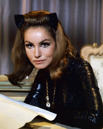 Image result for Julie Newmar