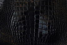 鳄鱼皮肤肚皮釉黑色30/34厘米5级
