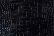 尼罗河鳄鱼皮肤腹部千禧黑色30/34厘米5级
