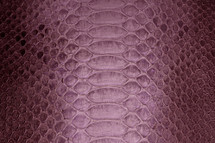 Python皮肤 Long Baikal Lavender