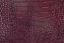 鳄鱼皮肤肚皮玻璃Bordeaux 45/49厘米3级
