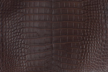 鳄鱼皮肤肚光褐色30/34厘米4级