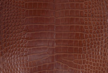 鳄鱼皮肤腹部千年Cognac 30/34 cm等级4
