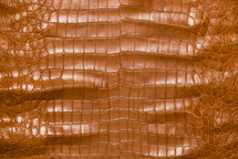 美国鳄鱼皮腹部哑光干邑50/54厘米3级