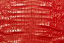 美国鳄鱼皮肤腹部哑光红色50/54厘米3级