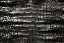 美国鳄鱼皮腹部哑光黑色50/54厘米4级