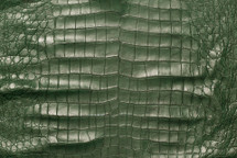 美国鳄鱼皮肤腹部磨砂绿色50/54厘米4级
