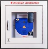AED Sentinel