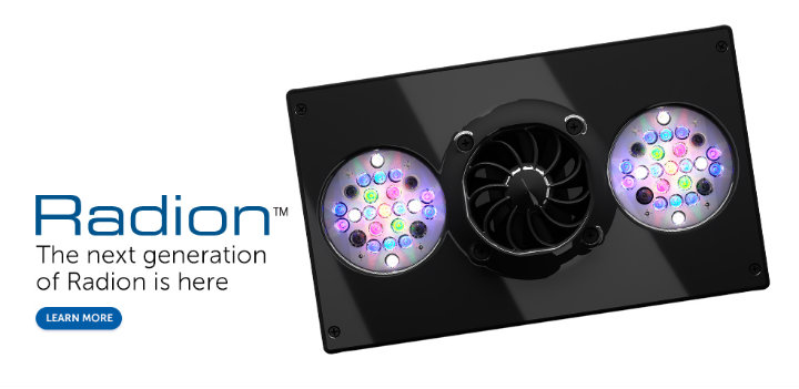 et-radion-slider-2.jpg