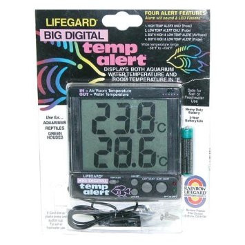 big digital thermometer