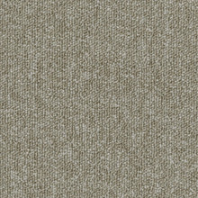 Desso Natural Nuances AA15-9020 - 5 m2 Box / 20 Tiles - Commercial Contract Carpet tiles 500 mm x 500 mm