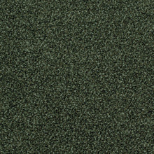 Desso Torso A147-7922 - 5 m2 Box / 20 Tiles - Tufted Loop-Pile Commercial Contract Carpet tiles 500 mm x 500 mm
