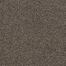 Desso Torso A147-9104 - 5 m2 Box / 20 Tiles - Tufted Loop-Pile Commercial Contract Carpet tiles 500 mm x 500 mm