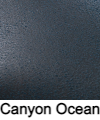 canyon-ocean-100-1-.jpg