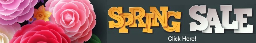 spring2024.jpg