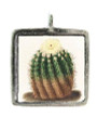 Vintage Cactus - Pewter Picture Pendant (PW388)