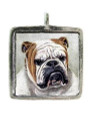 Bulldog - Pewter Picture Pendant (PW525)