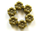 Brass Pewter Ring - Flowers 24mm (PB260)
