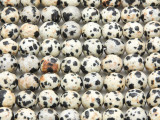 Dalmatian Jasper Faceted Round Gemstone Beads 8mm (GS2242)