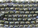 Jeweltone Faceted Pearl Beads 8mm (PRL44)