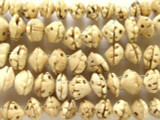 Rare Old Shell Beads - Mauritania (RF533)