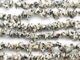 Dalmatian Jasper Chip Gemstone Beads - 30" strand (GS506)