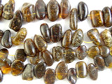 Genuine Amber Petal Beads 24mm (AB19)