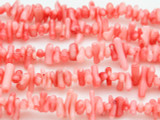 Pink Bamboo Coral Branch Beads 5-18mm (CO514)