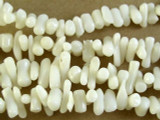White Bamboo Coral Branch Beads 5-18mm (CO517)