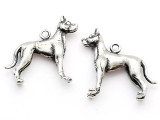 Dog - Great Dane - Pewter Charm (PW1106)