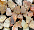 Rhodonite Petal Gemstone Beads 10mm (GS6071)
