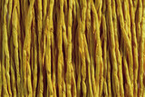 Yellow Hand Stitched Silk Cord 42" (SK27)