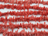 Bright Pink Branch Bamboo Coral Beads 6-22mm (CO536)