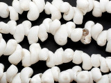 White Conch Shell Beads 30mm (SH416)
