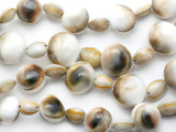 Brown Top Cowrie Shell Beads 20mm (SH427)