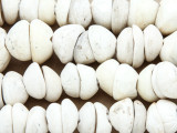 Old Shell Beads - Mauritania (RF821)