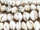Old Shell Beads - Mauritania (RF828)