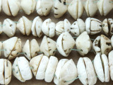 Old Shell Beads - Mauritania (RF829)