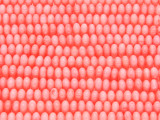 Pink Bamboo Coral Rondelle Beads 5mm (CO546)