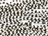 Black & White Glass Seed Beads 1-2mm - Ghana (AT7199)