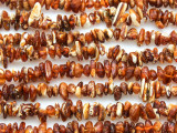 Genuine Amber Chip Beads 3-14mm (AB73)