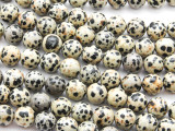 Dalmatian Jasper Round Gemstone Beads 10mm (GS4464)