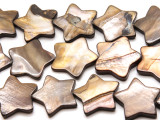 Brown Star Tabular Shell Beads 25mm (SH572)