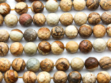 Picture Jasper Faceted Round Gemstone Beads 10mm (GS4630)