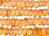 Genuine Amber Petal Beads 10-16mm (AB86)