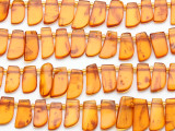 Genuine Amber Petal Beads 10-16mm (AB86)