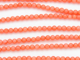 Pink Bamboo Coral Round Beads 4mm (CO566)