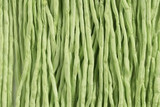 Pastel Green Hand Stitched Silk Cord 42" (SK61)
