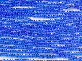 Blue Transparent Glass Seed Beads - 11/0 (SB259)