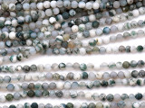 Matte Tree Agate Round Gemstone Beads 4mm (GS5165)